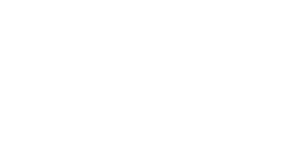 Lüfer Balık