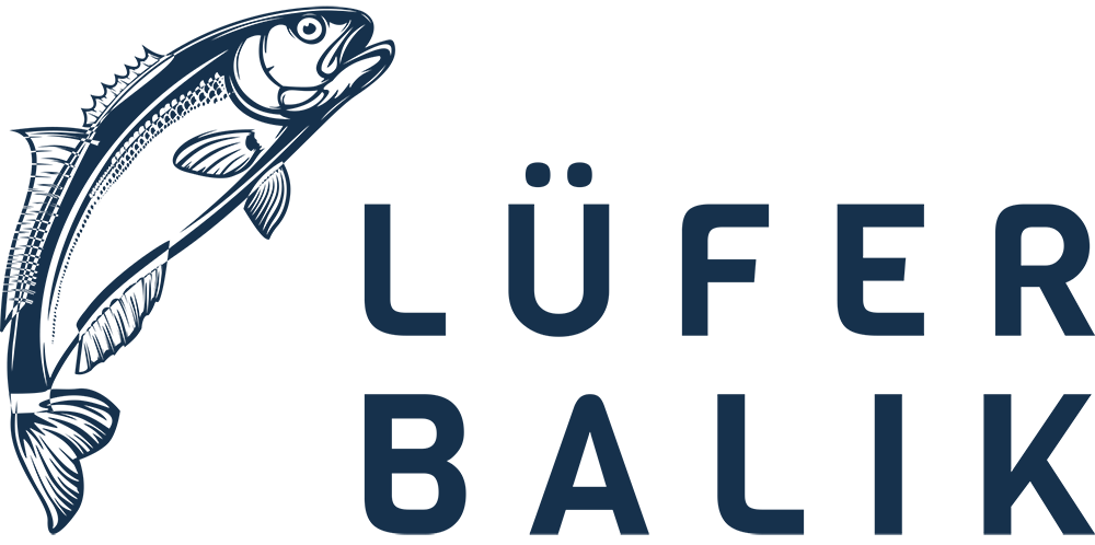 Lüfer Balık
